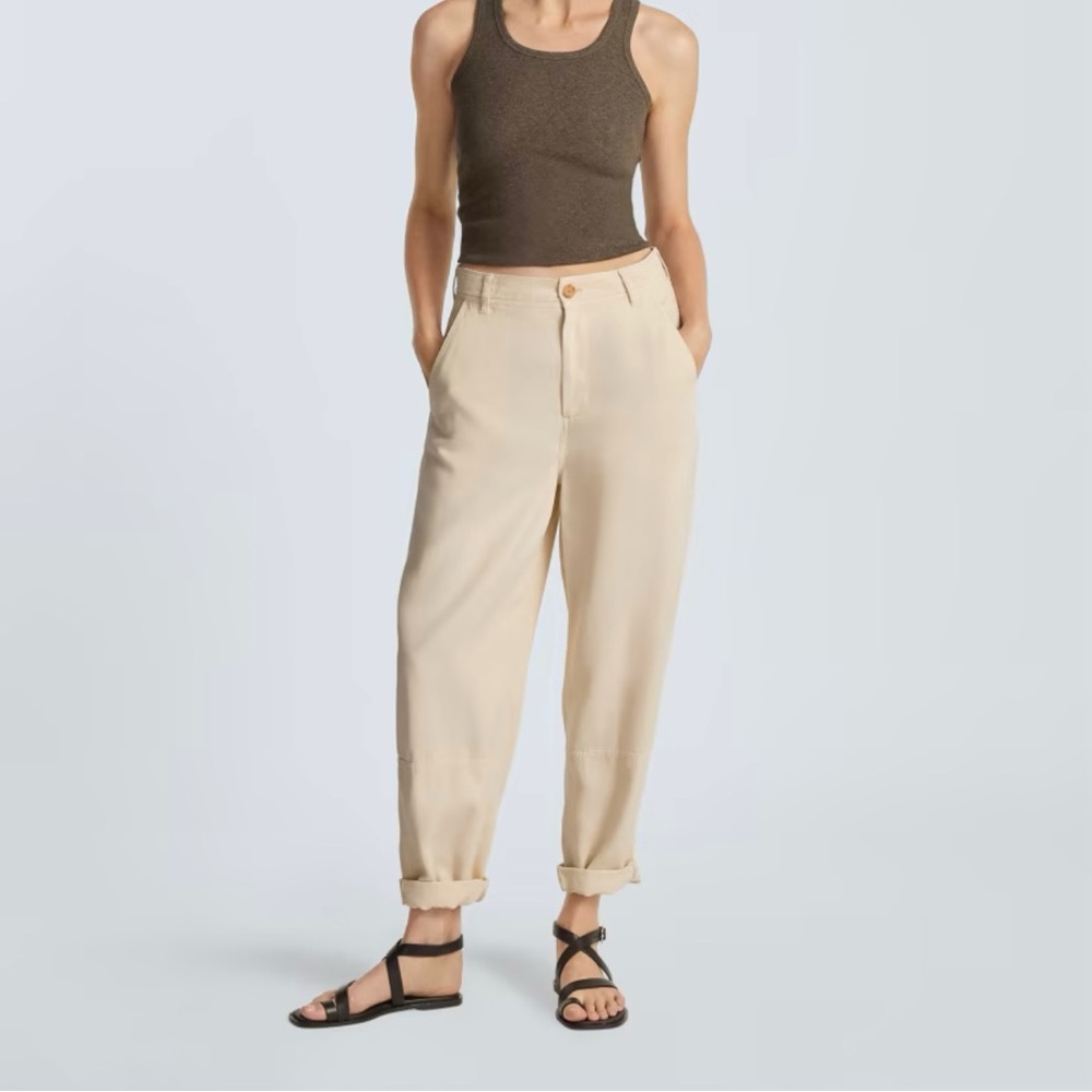 Everlane Chinos